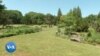 L'arboretum, le plus grand jardin scientifique des Etats-Unis