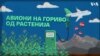 MKD_FuelPlanesPlants Thumb H