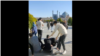 16x9 Image