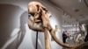 Exhibits are seen on display during a media tour of the new Sotheby's space at in Hong Kong on July 25, 2024.