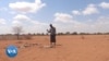 Une organisation aide les communautés rurales du Kenya à préserver les pâturages