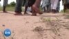 Festival "La porte du retour" à Lagos : la diaspora revisite le passé