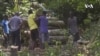 Sédentariser les paysans pour mieux préserver la forêt, un défi en RDC