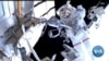 Peace in Space Despite War on Earth