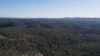 FILE - Trees stand in a habitat populated by koalas in the Greater Blue Mountains World Heritage Area, near Bilpin, Australia, Oct. 13, 2020.