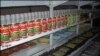 Consumer Council: Zimbabwe Low Income Basket Down 0.63%