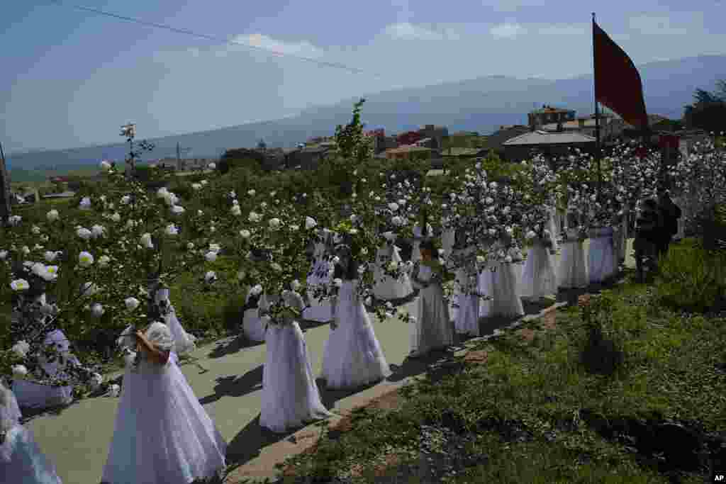 İspaniyan - Sorzano şəhərində ağ gəlinlik geyinmiş qızlar ("Las Doncellas") əllərində çiçəklərlə "Qızlar" ziyarətində iştirak edirlər. 