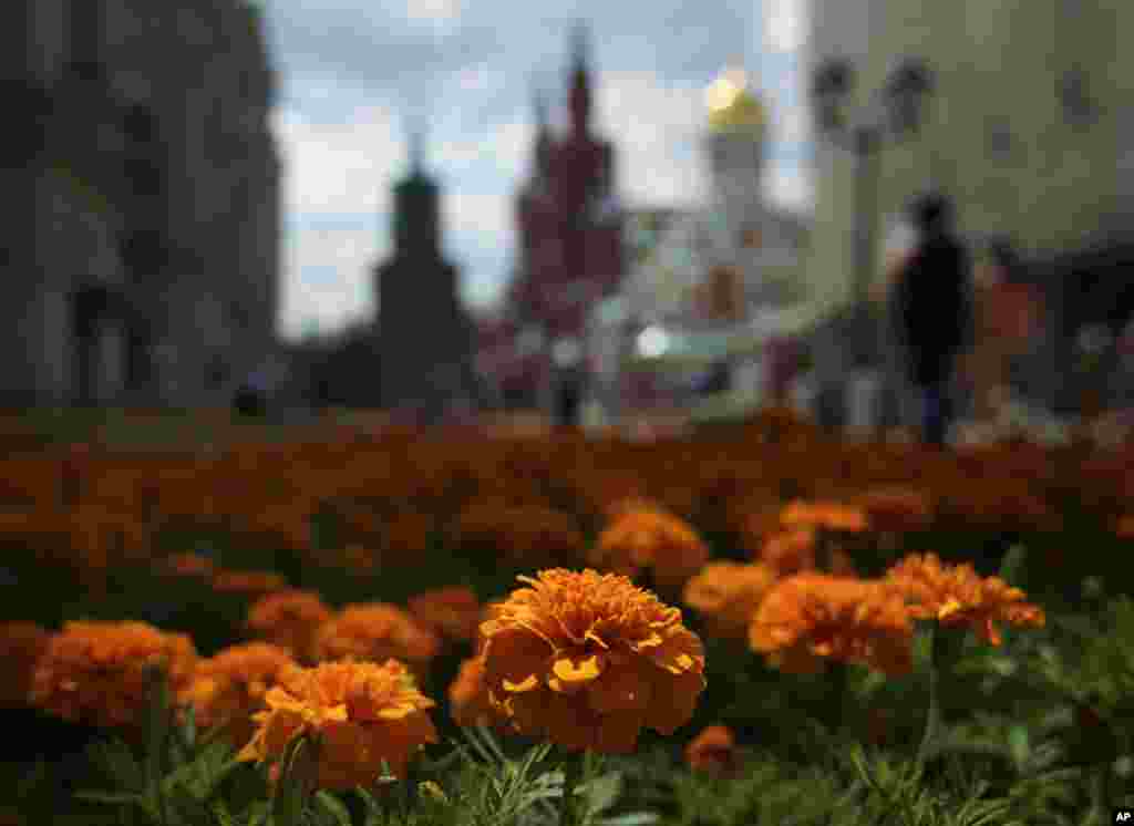 A huge flowerbed is set for a flower festival outside GUM department store at Red Square in Moscow, Russia.