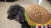 Halloween Pet Costumes Getting Popular
