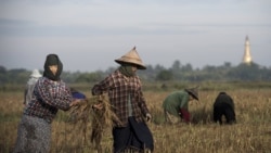 မြန်မာနဲ့ ကမ္ဘာ့ဘဏ် တကျော့ပြန် ဆက်ဆံရေး