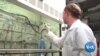 Harmful Bacteria's Worst Nightmare May Be a Microscopic Drill
