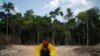 Deforestation in Brazil's Amazon Hits Record for First Half of 2022 