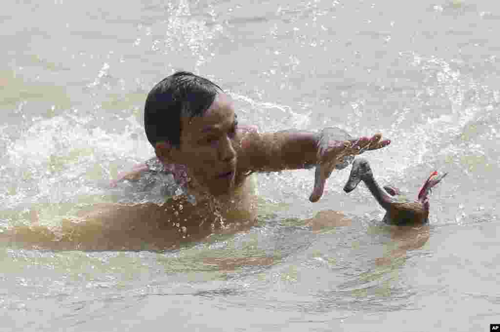 A man tries to catch a duck during a competition as a part of the Dragon Boat Festival, known locally as &quot;Peh Cun Festival&quot;, on the Cisadane river in Tanggerang, Indonesia.