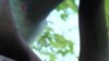 16x9 Image