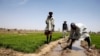Le Nigeria se tourne vers "l'or blanc" en pleine crise économique