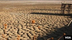 jazmorian wetland sout iran drought