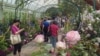 'Monet's Garden' Flowers in New York 