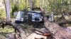 10 Dead in Australia Thunderstorms, Thousands Without Power