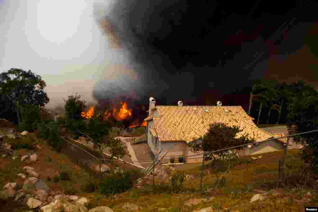 Kebakaran Cocos&nbsp; mengamuk dekat kawasan perumahan di San Marcos, California, 15 April 2014. Kebakaran hutan di California Selatan mengakibatkan ribuan penduduk meninggalkan rumah mereka. &nbsp;