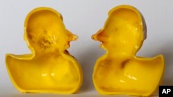 The March 27, 2018, photo shows the inside of a rubber duck after it was cut open for the photo in Nauen, Germany. 