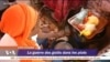 La guerre des goûts dans le plat