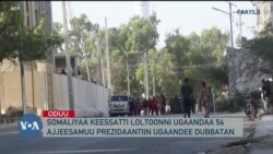 Tamsaasa Guyaadhaa Guyyaa