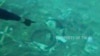 Seorang penyelam menunjuk puing-puing yang berserakan di dasar laut di Laut Jawa tempat pesawat milik maskapai penerbangan Sriwijaya Air jatuh, 11 Januari 2021. (TNI AL via AP)