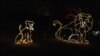 Animal Sculptures Light Up National Zoo for Christmas
