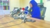 Mootummaan Naannoo Oromiyaa Sochii Sa’atiin Daangesse Kaase 