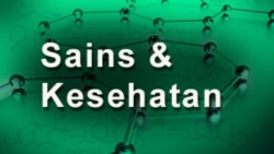 Sains dan Kesehatan: Pusat Rehabilitasi Beri Harapan Baru Bagi Pencandu Narkoba di Kenya