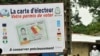 Election Observer Calls for Patience During Guinea Vote Counting