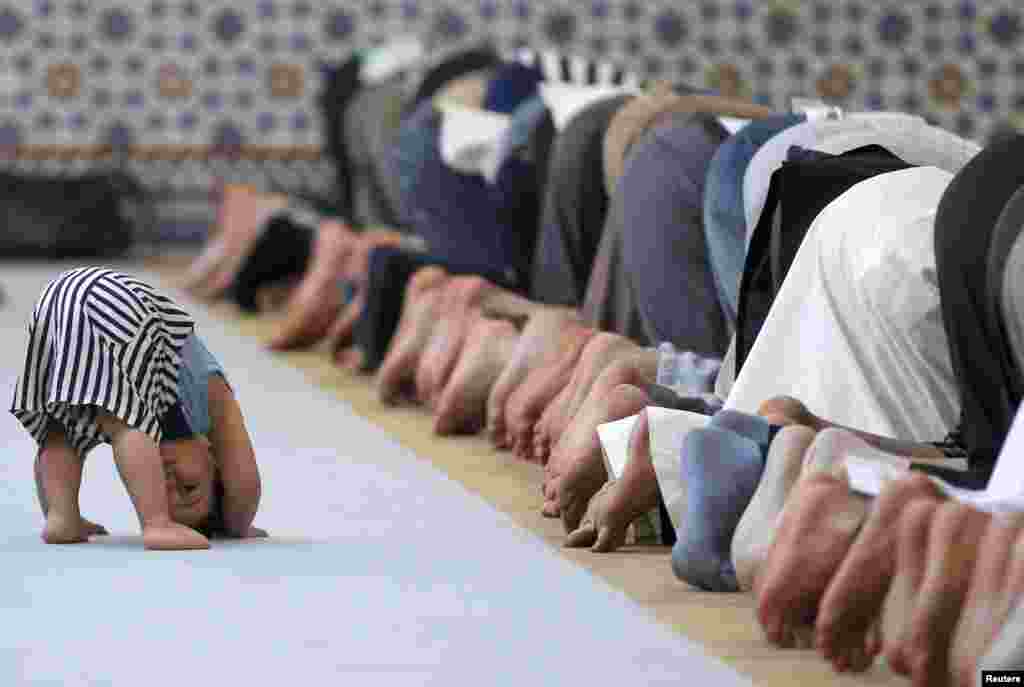 Seorang anak terlihat di dekat anggota komunitas Muslim yang sedang melakukan sholat zuhur di Masjid Besar Strasbourg di Strasbourg, Perancis, di hari pertama Ramadan, 9 Juli 2013.