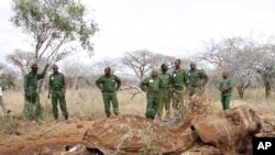Jami'an kare dabbobi a na kasar kenya suke kallon gawar giwa da aka kashe.