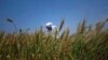 Cash-Strapped Zimbabwe Urges Millers, Bakers to Support Winter Wheat Production