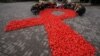 Scientists Seek HIV Vaccine Using Monkey Model