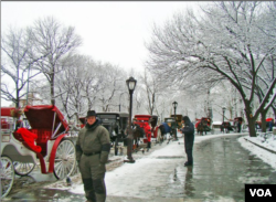 Central Park
