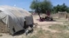 Au Tchad, onze morts dans des affrontements entre éleveurs et agriculteurs