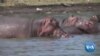16x9 Image