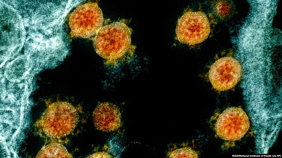 Virus Outbreak-Reinfection