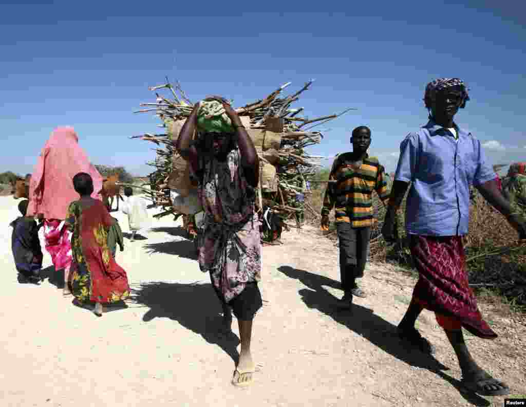 Seorang perempuan membawa kayu bakar untuk memasak di kota Jowhar, Somalia utara. 