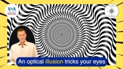 New Words: Illusion