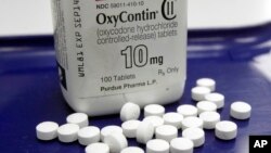 FILE - This Feb. 19, 2013, file photo, shows OxyContin pills arranged for a photo at a pharmacy in Montpelier, Vermont.
