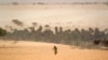L'insécurité aggrave la crise alimentaire au Sahel