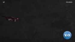 Flying Drones Attack and Destroy Moths in Midair