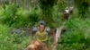 Pekerja mengumpulkan buah sawit dari kebun sawit di kawasan transmigrasi Arso, Papua, 19 April 2007. (Foto: REUTERS/Oka Barta)