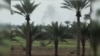 ارتش عراق منطقه الکرمه در حومه فلوجه را از داعش پس گرفت