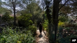 Žena šeta malim naseljem Trump Heights na Golanskoj visoravni koju kontrolišu Izrael, gdje stanovnici pozdravljaju izbor svog imenjaka 7. novembra 2024.