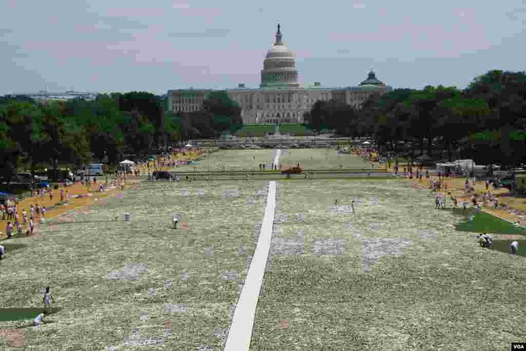Tampilan instalasi &quot;One Million Bones&quot; di taman National Mall, Washington DC (8/6). (VOA/Jill Craig) 