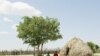 Two Basarwa women hide from the scorching sun in Metsiamenong, a remote village in the heart of the Central Kalahari Game Reserve, Botswana. (2007 file photo)
