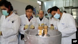 Para inspektur IAEA memeriksa para insinyur Iran di fasilitas nuklir Natanz saat mengurangi aktivitas pengayaan uranium hari Senin (20/1). 